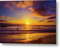 Golden San Diego Sunset  - Metal Print