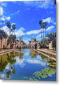 Balboa Park Reflecting Pond - Metal Print
