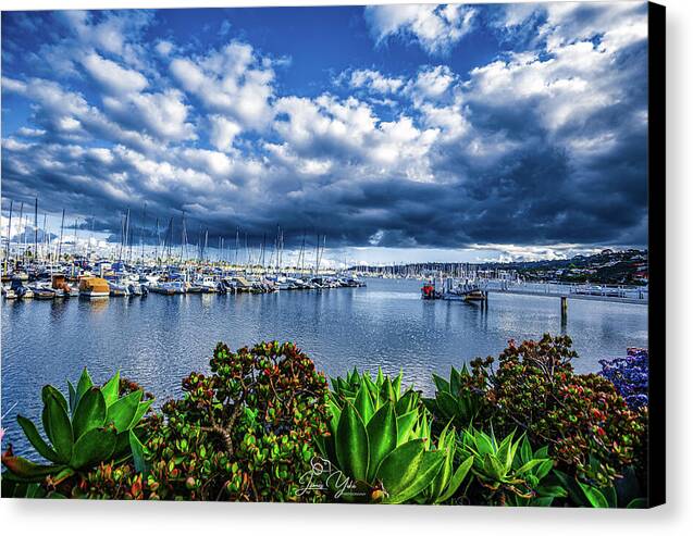 Boats at Shelter Island San Diego