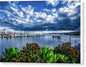 Boats at Shelter Island San Diego