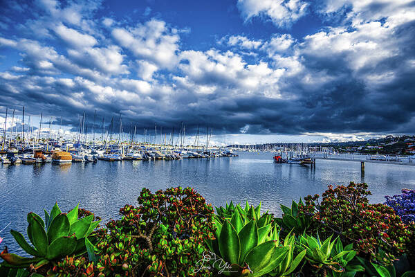 Boats at Shelter Island San Diego