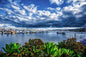 Boats at Shelter Island San Diego