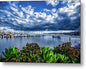 Boats at Shelter Island San Diego