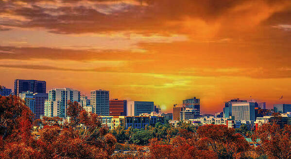 San Diego Skyline At Sunset (Balboa Park View) - Giclée Fine Art Print