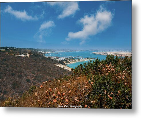 View of Point Loma - Metal Print