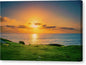 Golden Hour at the Wedding Bowl, La Jolla Canvas Print