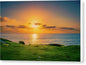 Golden Hour at the Wedding Bowl, La Jolla Canvas Print
