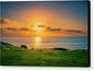 Golden Hour at the Wedding Bowl, La Jolla Canvas Print